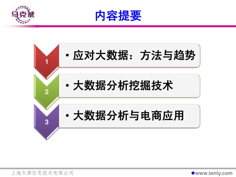 大数据分析挖掘技术在电商的应用-黄晖.pdf_第2页