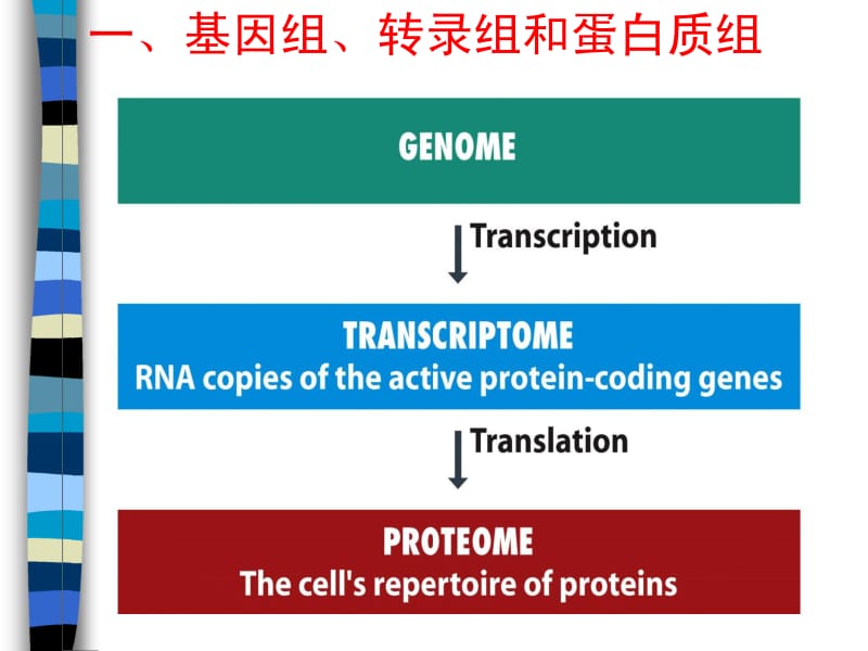 基因组学原理与应用.pdf_第2页