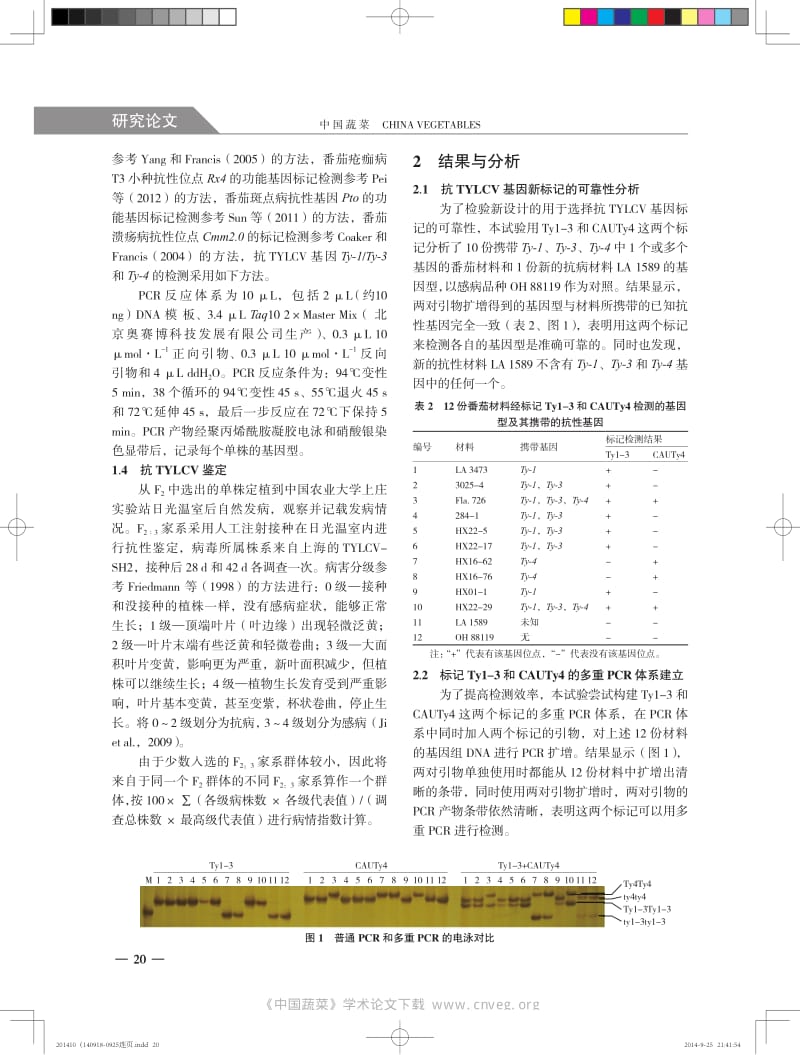 番茄抗TYLCV+基因新标记的开发及其在多抗聚合选择中的应用.pdf_第3页