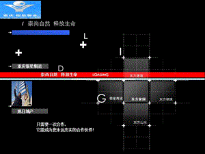 重庆银星涪陵项目营销推广策略方案.ppt