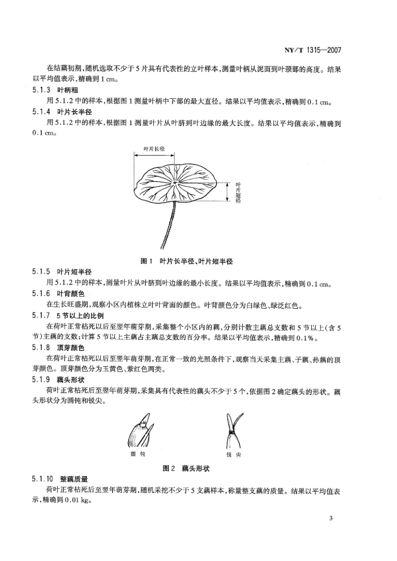 NYT 1315- 农作物种质资源鉴定技术规程 莲.pdf_第3页