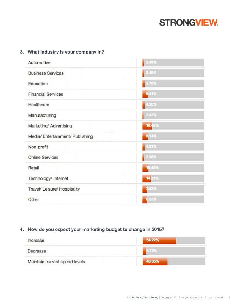 StrongView：营销趋势调查报告.pdf_第3页