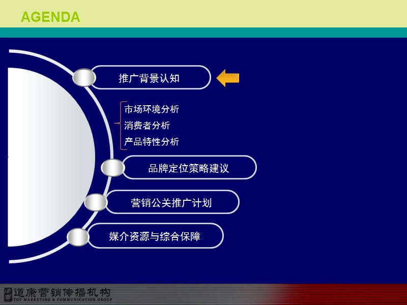 青海春天“极草” 品牌策略及营销公关建议方案.ppt_第3页