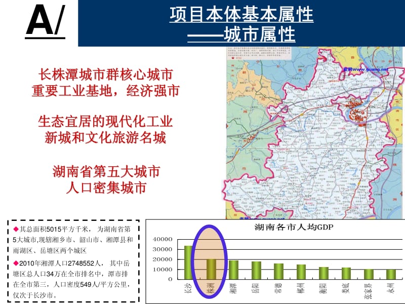 保安鸿基湘潭项目市场定位报告（二稿 84页） .pdf_第3页