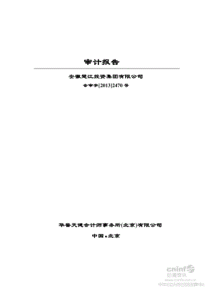 安徽楚江投资集团有限公司审计报告.pdf