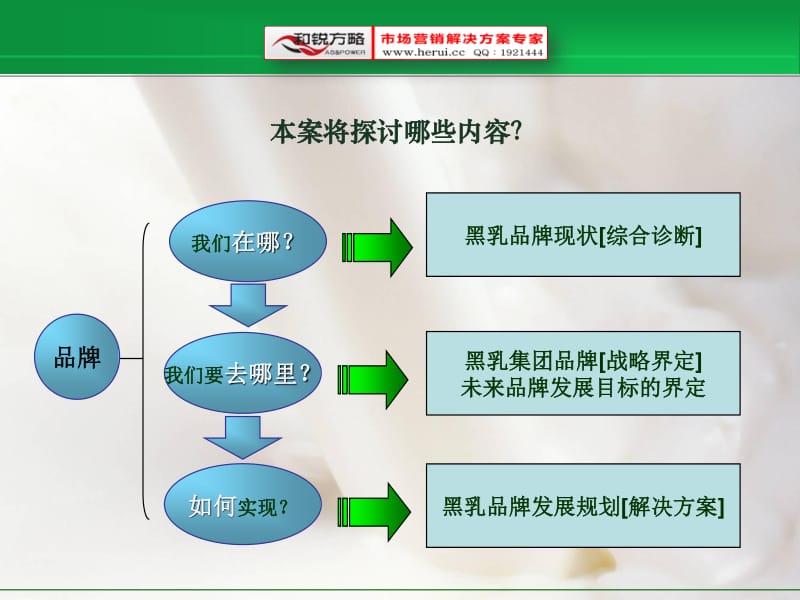 和锐方略：黑龙江乳业集团产品及企业品牌整合规划建议.pdf_第3页