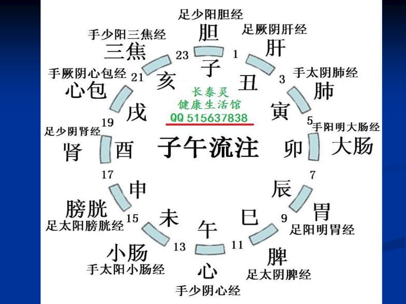 12时辰养生.ppt_第2页