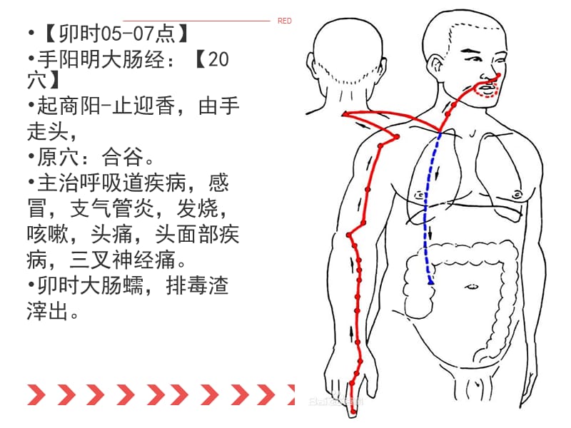 十四经络培训.ppt_第3页