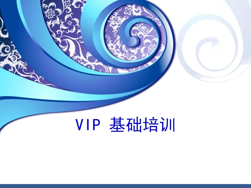 VIP 基础培训课件.ppt_第1页