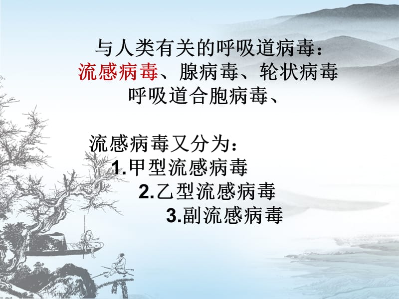 呼吸道病毒抗原抗体检测.ppt_第2页