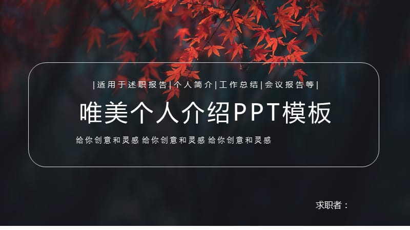 唯美商务个人简历PPT模板.pptx_第1页