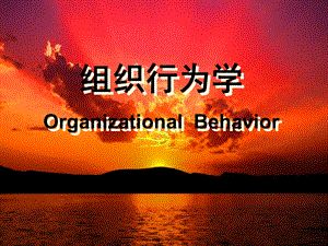 组织行为学OrganizationalBehavior.ppt