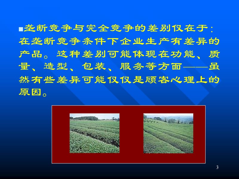 经济学原理《垄断竞争》.ppt_第3页