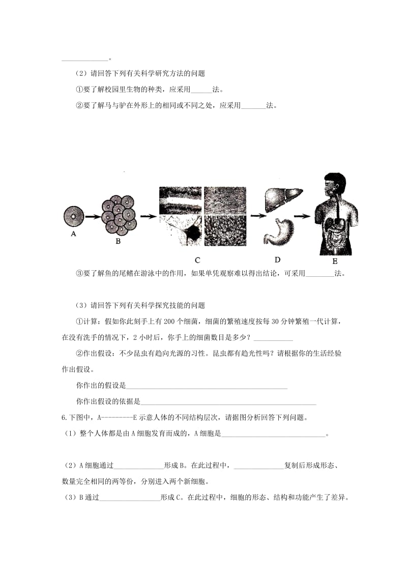 中考生物第一轮复习.doc_第3页