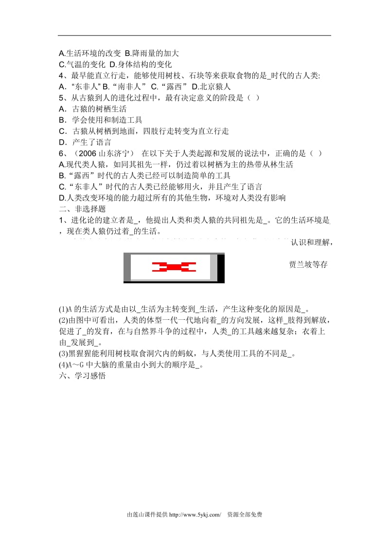 人教版七年级生物下册全套教案　全册.doc_第3页