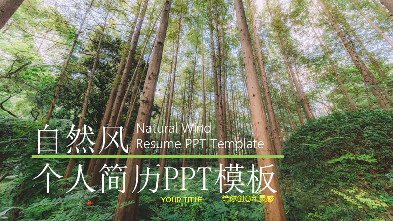 自然风个人简历PPT模板.pptx_第1页