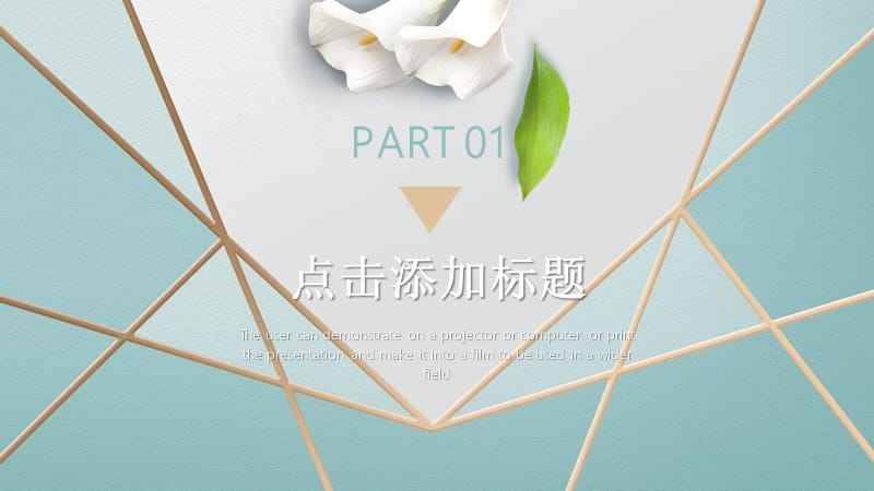 简约个人简历PPT模板 (2).pptx_第3页