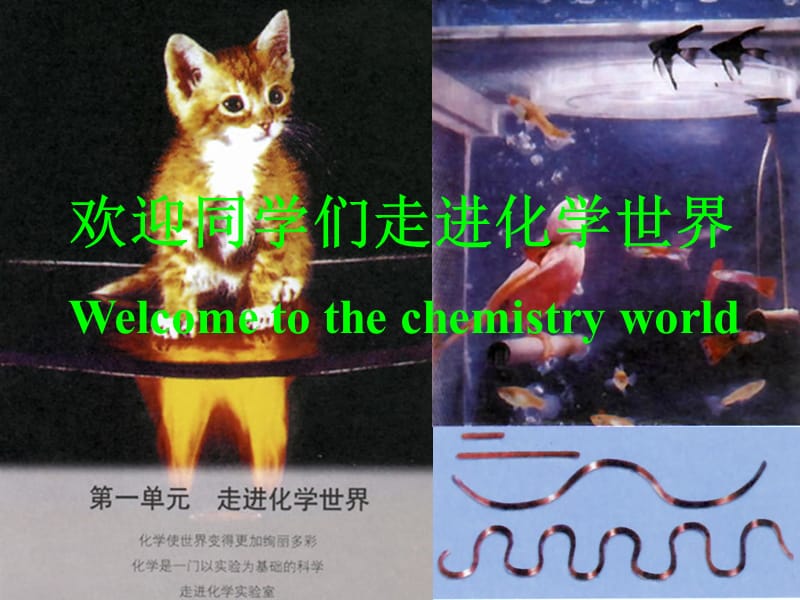 欢迎同学们走进化学世界Welcometothechemistryworld.ppt_第1页