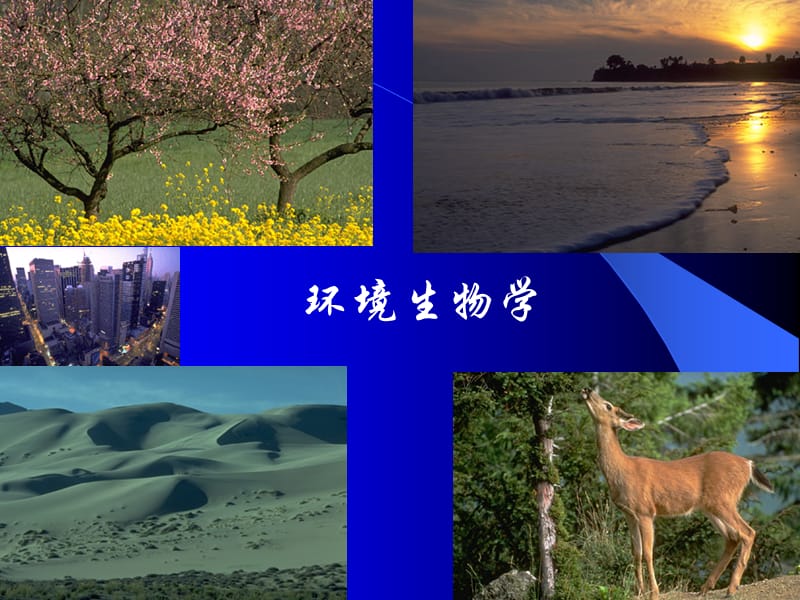 环境生物学.ppt_第1页