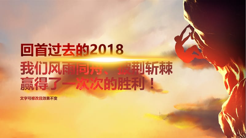 猪年大吉企业年终总结暨誓师大会.pptx_第2页