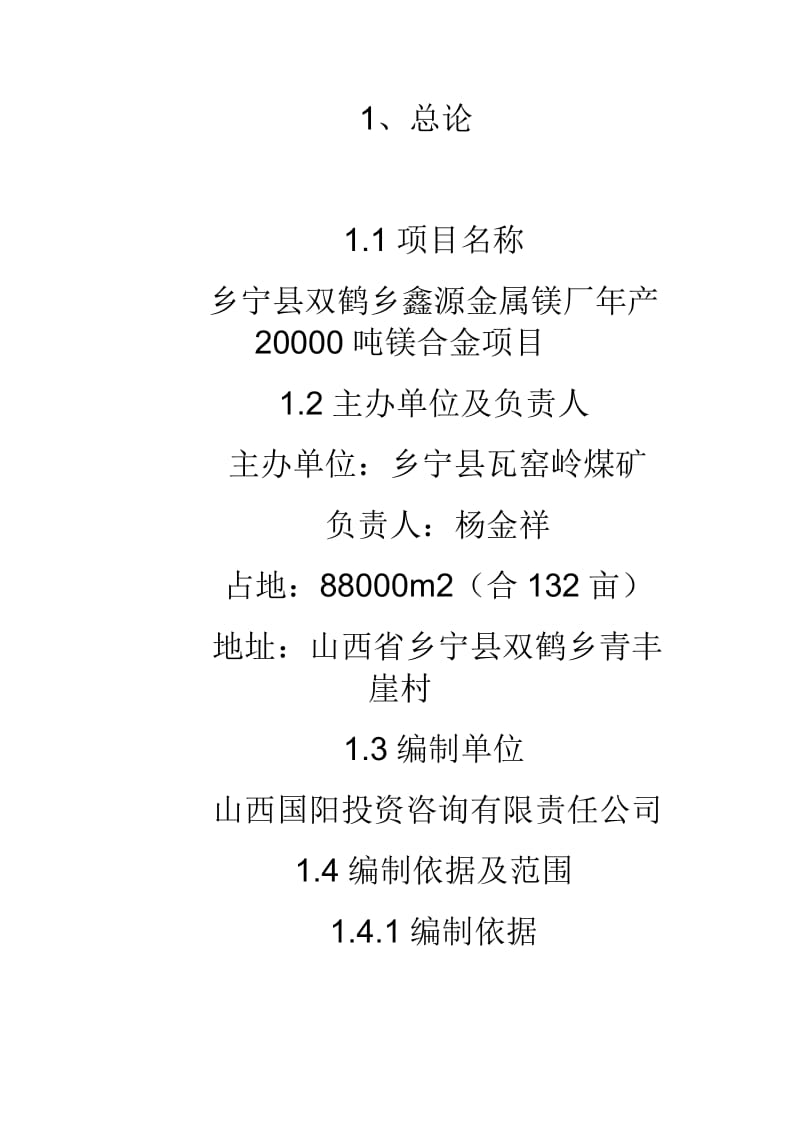 20000吨镁合金项目可研报告.doc_第1页