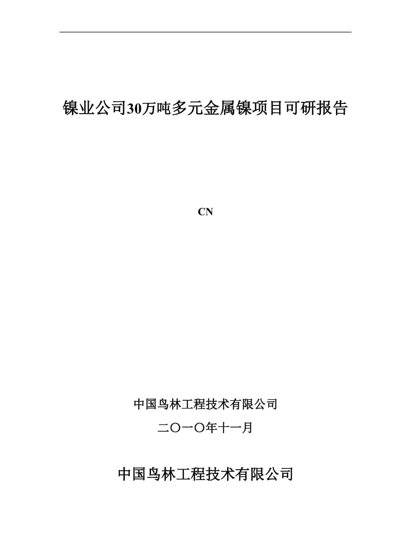 30万吨多元金属镍项目可行性研究报告.doc_第1页