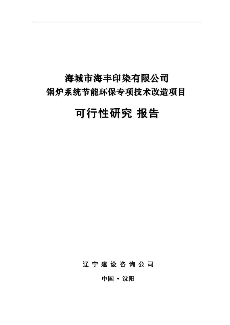 印染有限公司锅炉系统节能环保专项技术改造项目可行性研究报告.doc_第1页