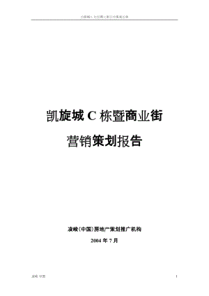 凯旋城C栋暨商业街营销策划报定稿.doc