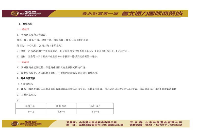 2010年山东鲁北通力国际商贸城项目营销策略报告（35页） .doc_第3页