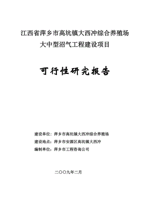 大西冲综合养殖场大中型沼气工程建设项目可行性研究报告.doc