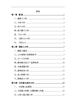 轻钢建筑模网高新技术产业项目银行贷款项目评估报告.doc