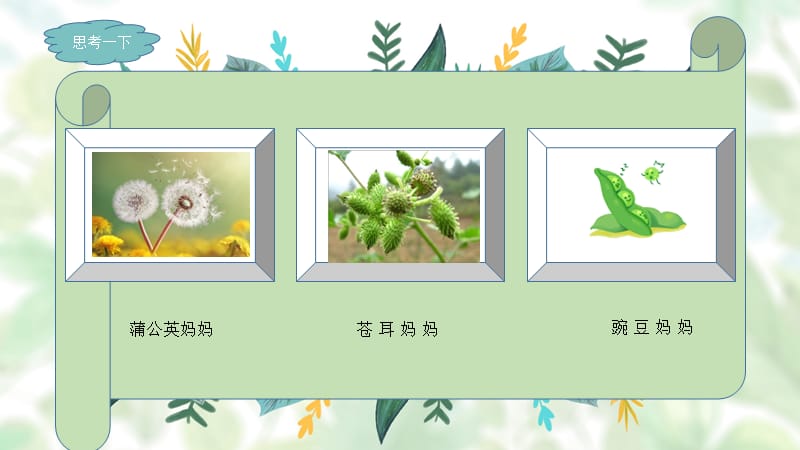 人教版小学二年级语文植物妈妈有办法ppt课件.pptx_第3页