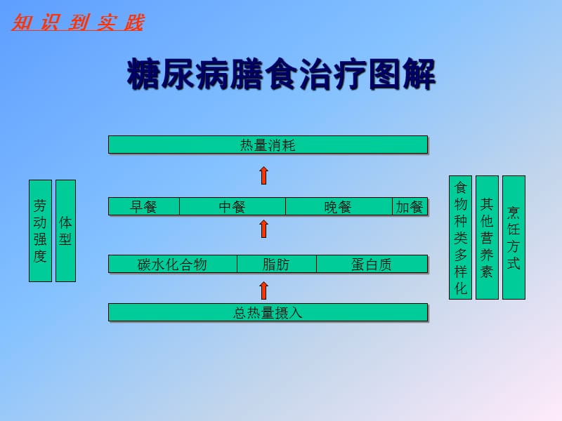 2型糖尿病的饮食治疗.ppt_第2页