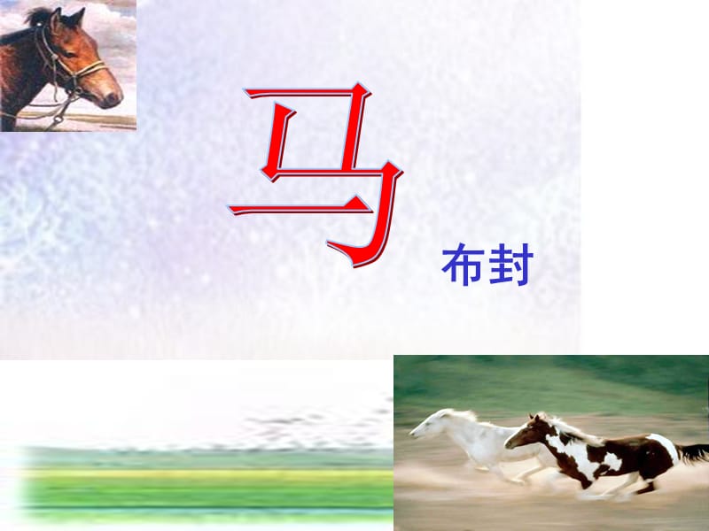 人教版初中语文《马》课件.ppt_第1页