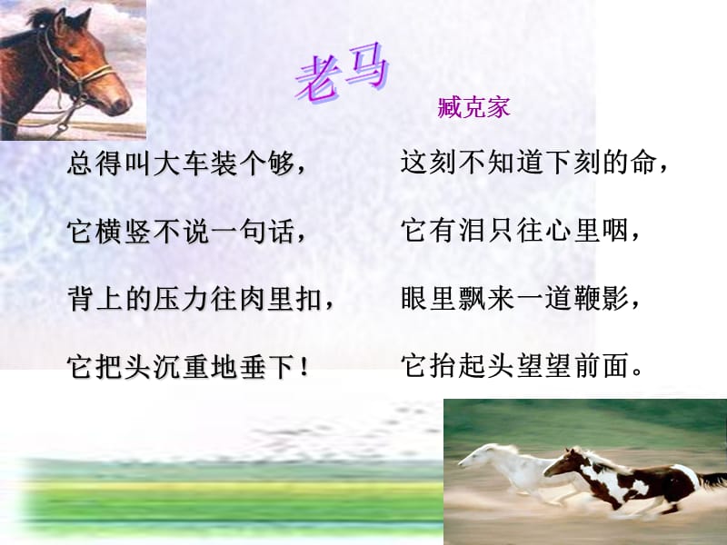 人教版初中语文《马》课件.ppt_第3页