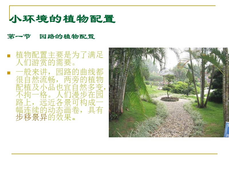 居住区具体环境内的植物配置居住区.ppt_第2页