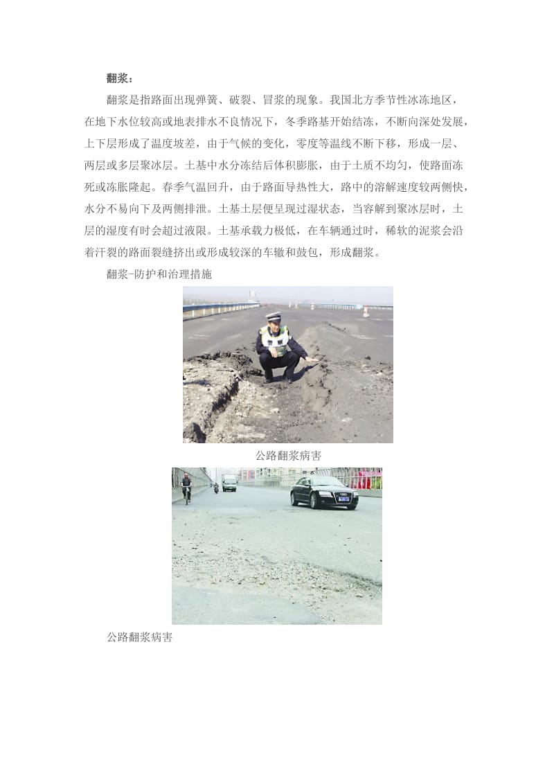 公路病害及处理措施.docx_第1页