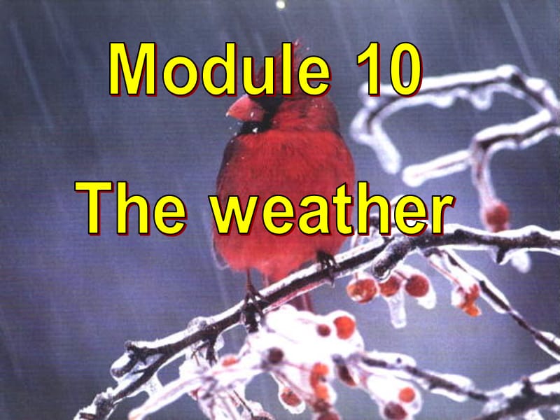 外研版初二英语八年级上册Module 10 The weather Unit 1课件.ppt_第2页