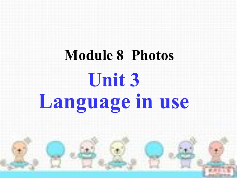 外研版九年级上册英语课件：Module8 Photos Unit 3 Language in use.ppt_第2页