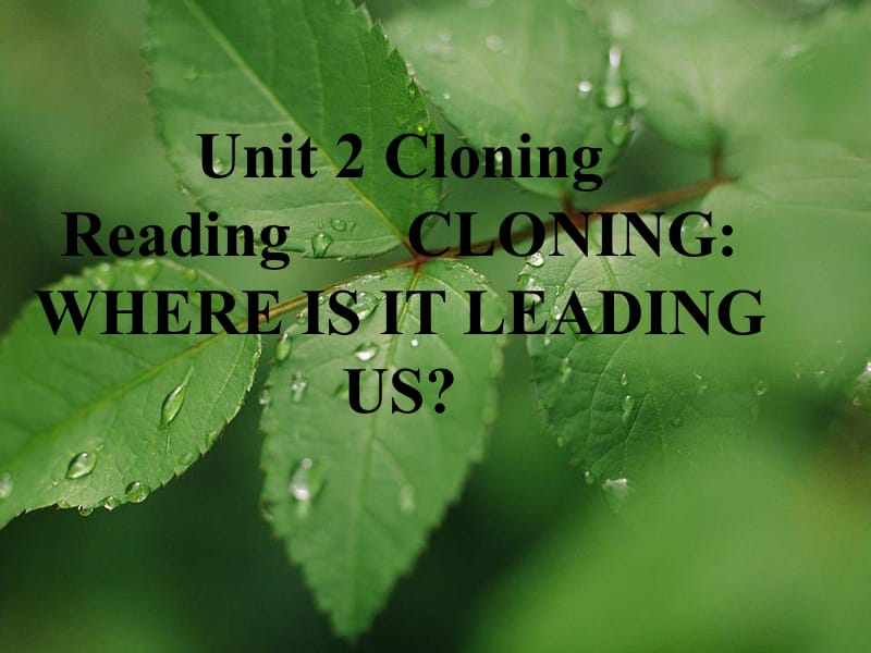 人教版高中英语课件：Unit 2 Cloning.ppt_第2页