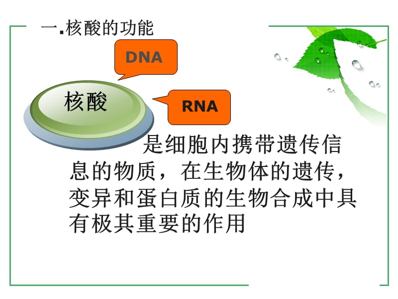 人教版高中生物必修1《遗传信息的携带者——核酸》精品课件.ppt_第2页