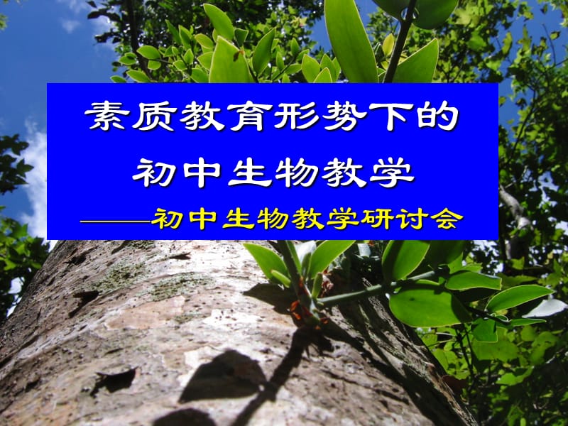 初中生物教学研讨会－－素质教育形势下的初中生物教学　课件.ppt_第1页