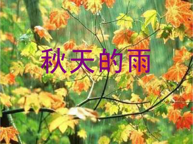 人教版小学语文课件《秋天的雨》 .ppt_第1页