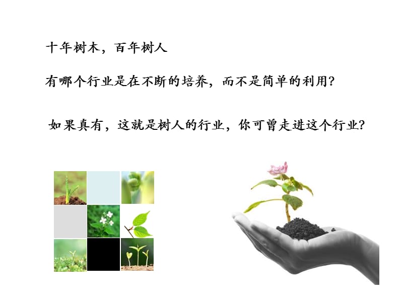 保险行业风光正好.ppt_第2页