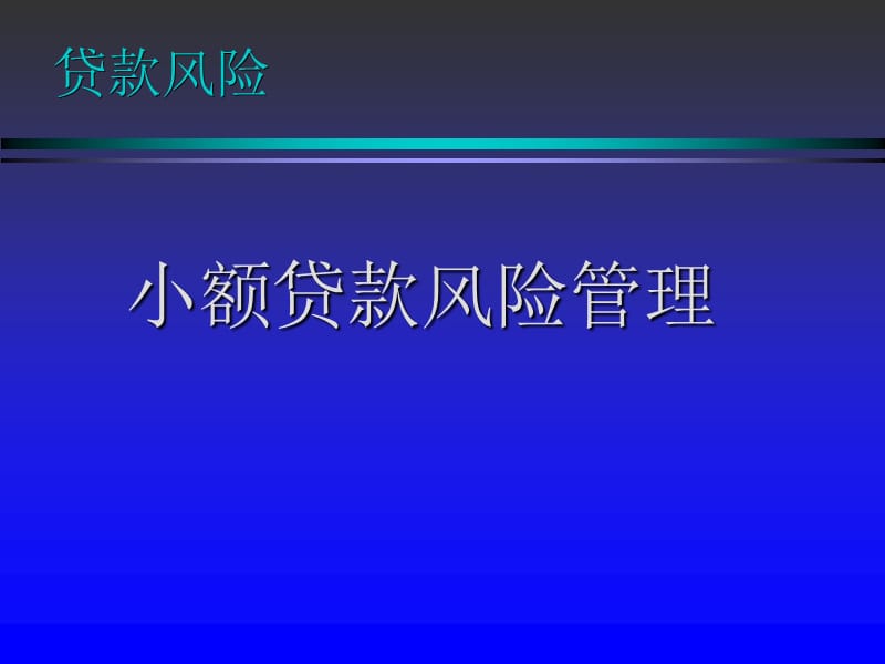 小额贷款风险管理操作实务.ppt_第1页