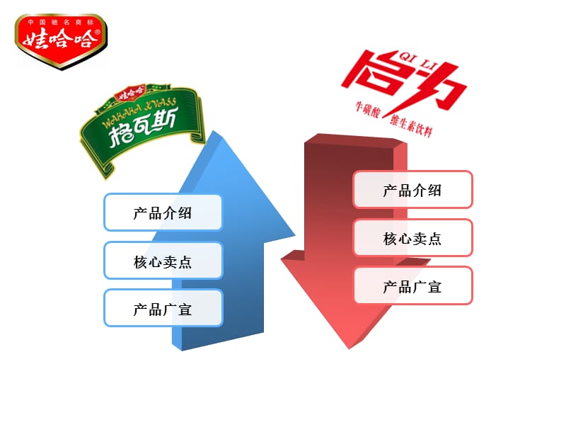 关于娃哈哈启力与格瓦斯的介绍.ppt_第2页