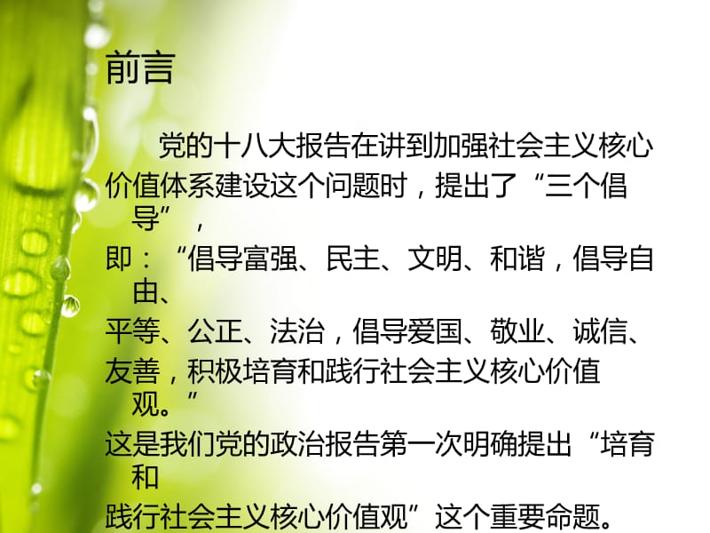 大力培育和践行社会主义核心价值观 2.ppt_第2页