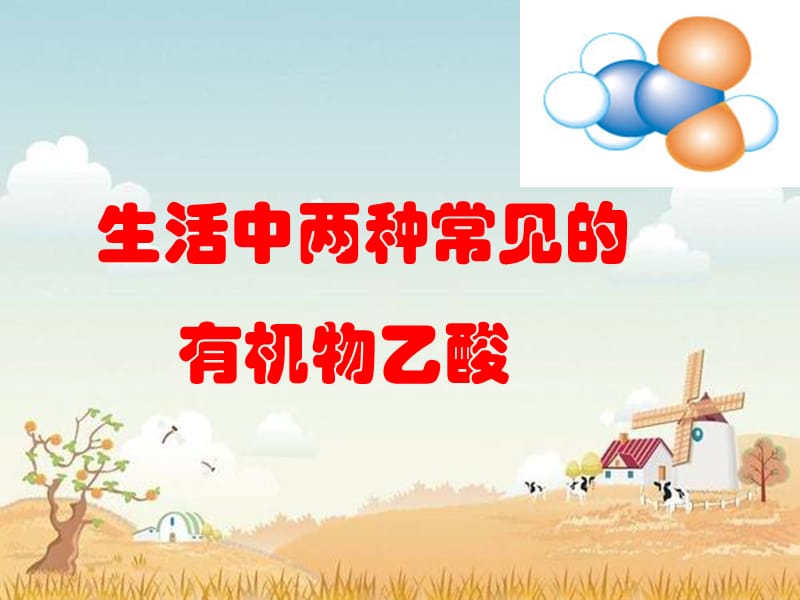 乙酸学习资料PPT.ppt_第1页