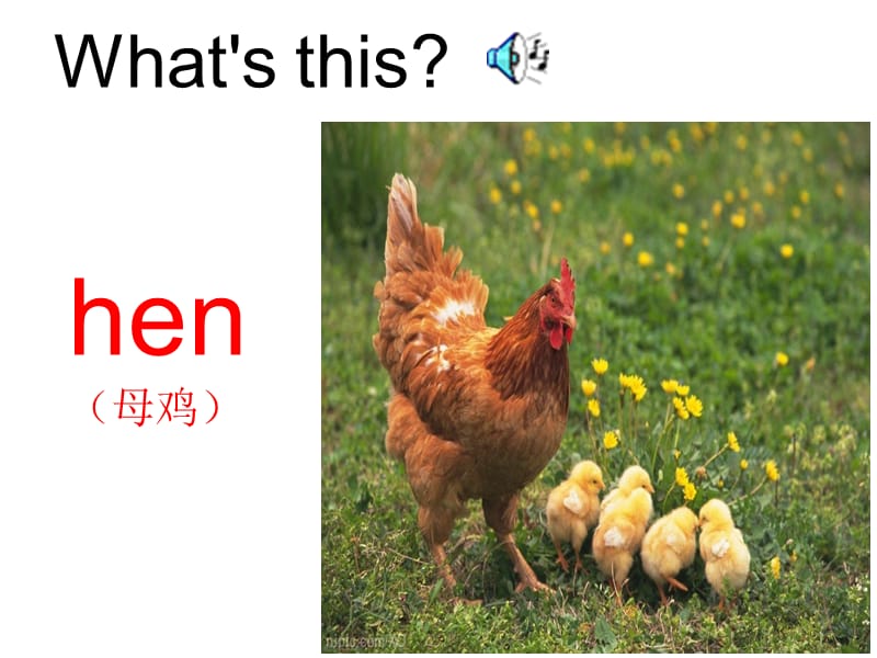 PEP小学英语四年级下册Unit 6 At A Farm课件.ppt_第2页