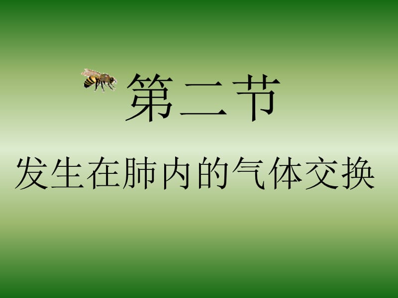 人教版初中生物七年级下册课件《发生在肺内的气体交换》 .ppt_第3页